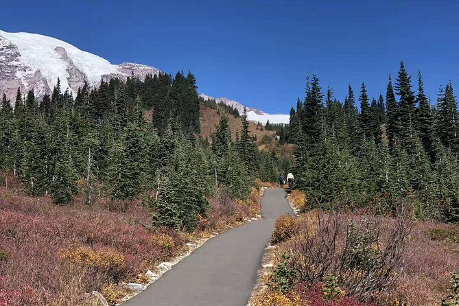 Small Group Mt Rainier National Park Day Tour from Seattle 2CanGo - The Transport and Group Size: Why It Matters