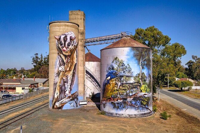 Small-Group Murray River Adventure - Paddle Steamer & Wildlife - A Full-Day Journey Through Victoria’s Heartland