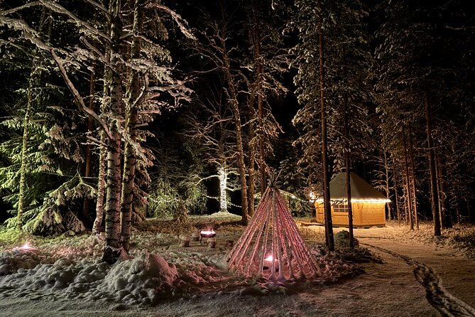 small-group-northern-lights-hunting-with-bbq-and-visiting-cabin