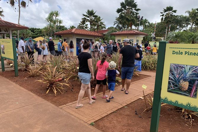 small-group-oahu-tour-dole-plantation-northshore-sunset-beach