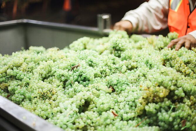 small-group-olive-oil-and-wine-tour-with-light-lunch