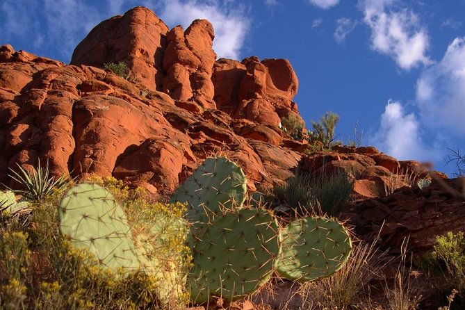 small-group-or-private-sedona-and-native-american-ruins-day-tour