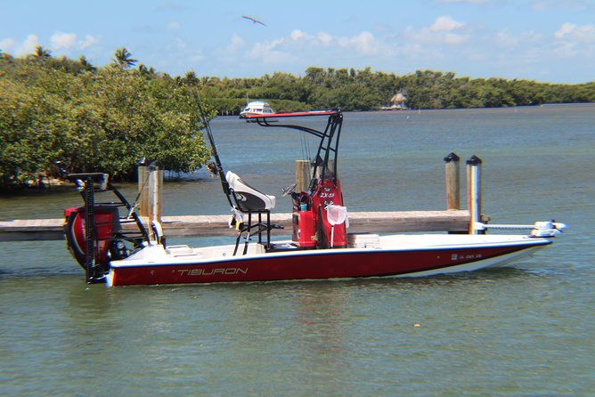 small-group-private-key-west-tour-with-expert-guide