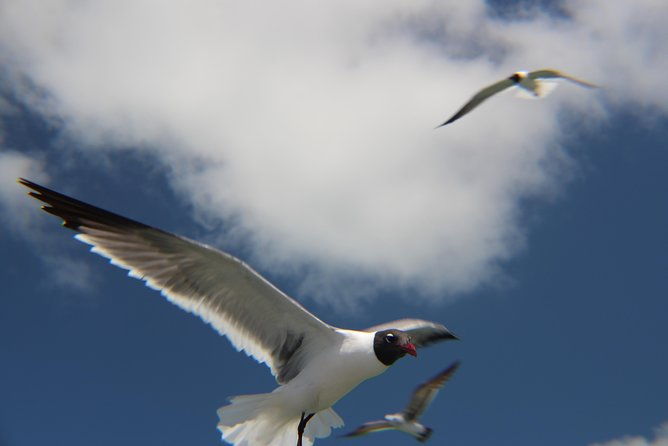 small-group-private-key-west-tour-with-expert-guide