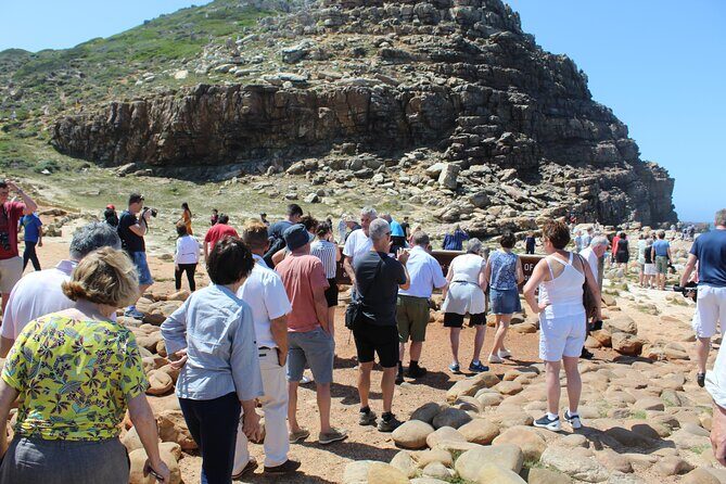 Small Group Private Tour To Cape Point Penguins From Cape Town Excl Entry Fees - Exploring Cape Town with this Private Tour