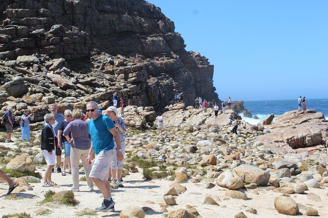 Small Group Private Tour To Cape Point Penguins From Cape Town Excl Entry Fees - Final Thoughts