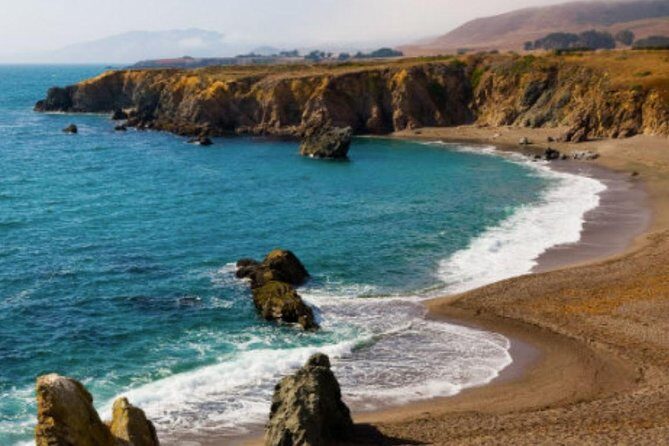 Small Group Redwoods, California Coast & Sausalito Day Trip from San Francisco - What Makes This Tour Stand Out?