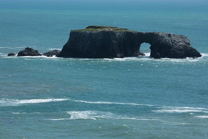 Small Group Redwoods, California Coast & Sausalito Day Trip from San Francisco - FAQ