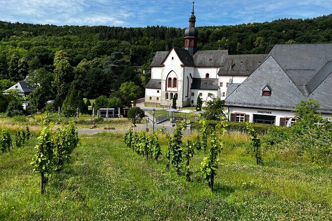 Small Group Rheingau Vineyards Tour with Castles and Abbeys - Who Should Consider This Tour?