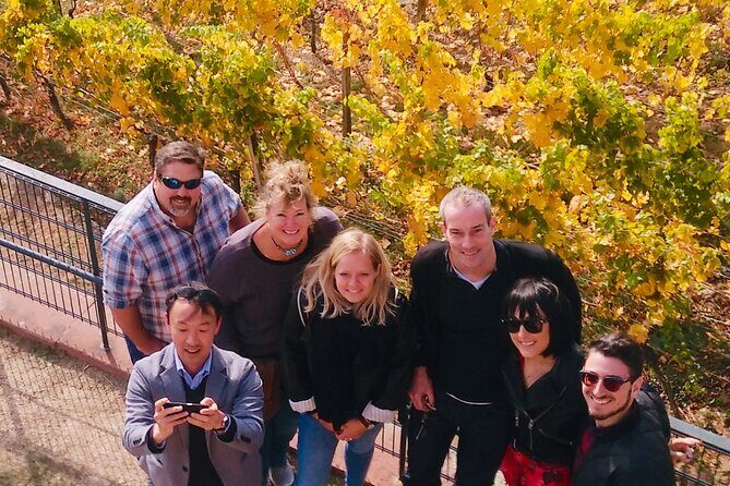Small Group Rheingau Vineyards Tour with Castles and Abbeys - Final Thoughts