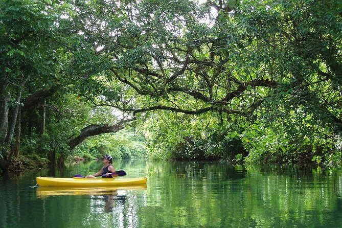 Small Group River Kayaking Tour from Port Vila - What We Love About This Experience