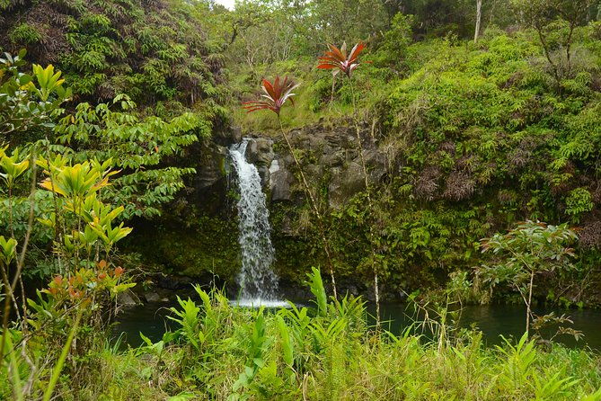 small-group-road-to-hana-luxury-tour