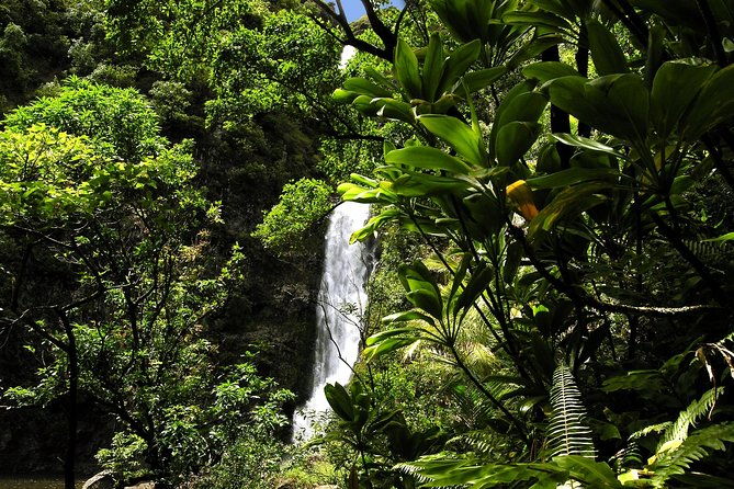 small-group-road-to-hana-luxury-tour