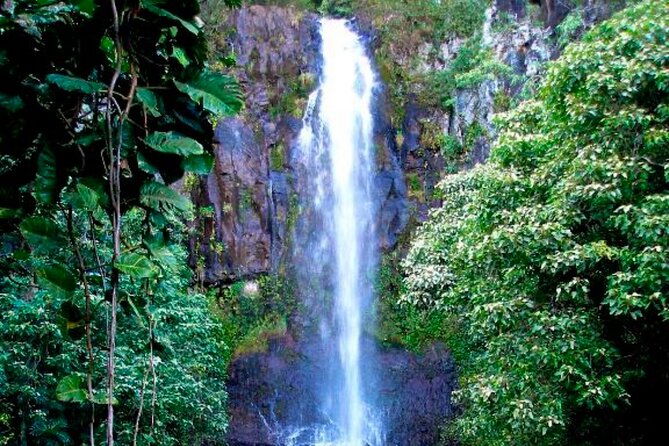 small-group-road-to-hana-tour-6-to-8-passengers