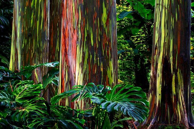 small-group-road-to-hana-tour-6-to-8-passengers