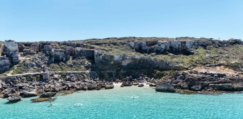 Small Group Rubber Dinghy Tour Favignana and Levanzo - Key Points