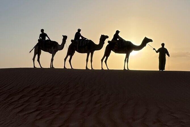 Small Group Safari World with Sunset in Wahiba Desert Tour - The Journey Begins: From Muscat to Safari World and Wahiba Sands