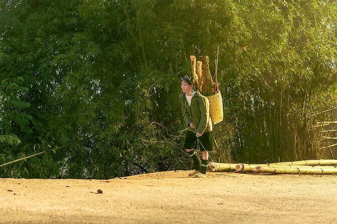 Small Group Sapa 21km Marathon Day Tour - Who Should Consider This Tour?