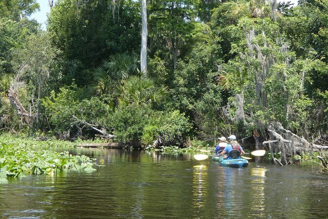 small-group-scenic-wekiva-river-kayak-tour-near-orlando