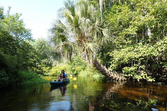 small-group-scenic-wekiva-river-kayak-tour-near-orlando