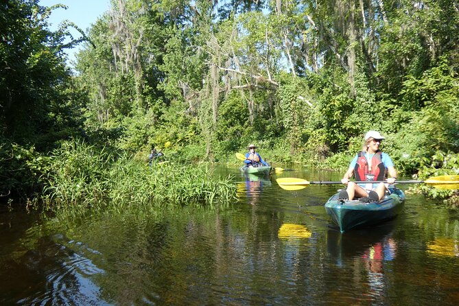small-group-scenic-wekiva-river-kayak-tour-near-orlando