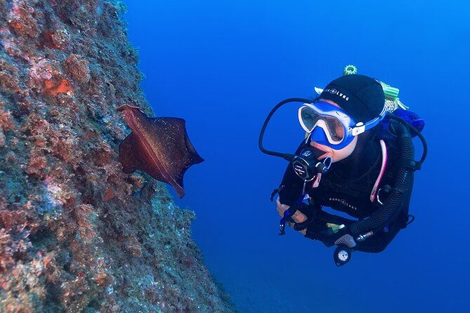 small-group-scuba-diving-adventure-in-costa-brava