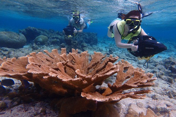 small-group-sea-scooters-snorkel-at-mangel-halto-beach-in-aruba