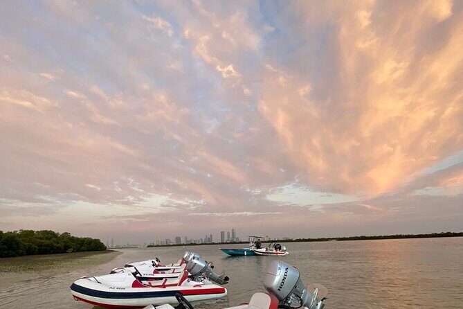 Small-Group Self-Drive Speedboat Tour in Yas Island Mangroves - Who Should Consider This Tour?