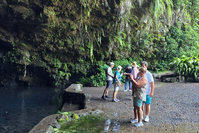 Small Group Shared Tahiti Circle Island Waterfalls and Views - Who Would Enjoy This Tour?