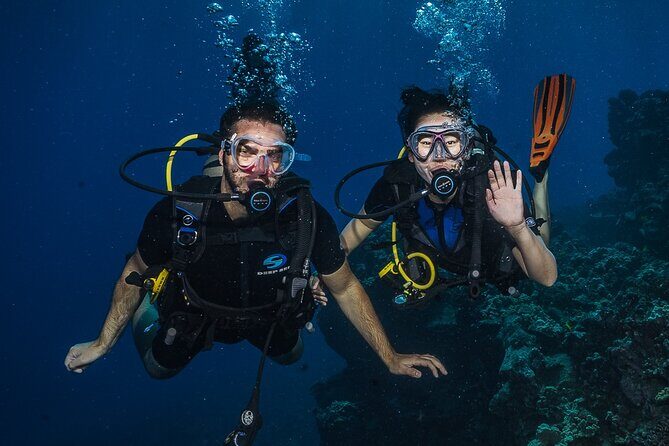 Small-Group Shark and Turtle Dive for Certified Divers - Overview of the Tour