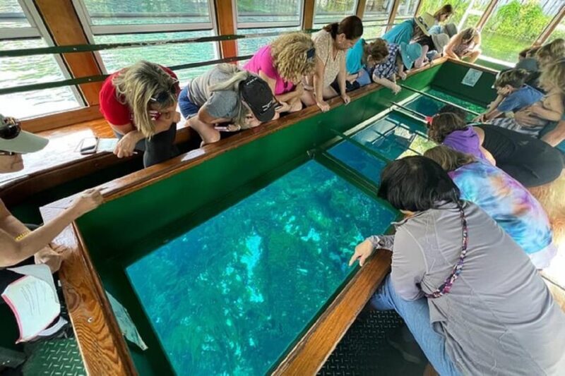 Small Group Silver Springs State Park Day Tour from Orlando - An Honest Look at the Silver Springs Day Tour