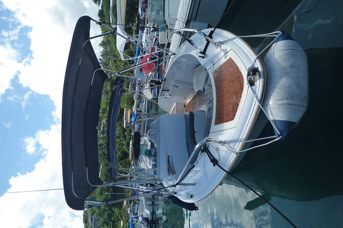 Small group snorkeling (5 people max): Turtles at 7:30am - Practical Details & Logistics