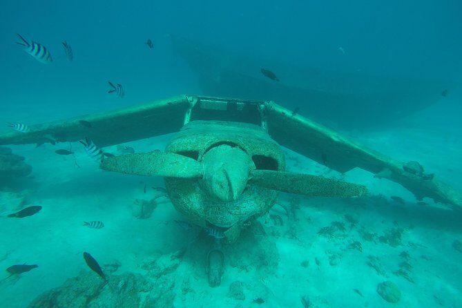 Small group snorkeling (5 people max): wrecks & tropical fishes at 1:00pm - Practical Details
