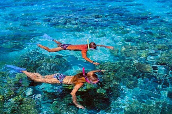 Small group snorkeling (5 people max): wrecks & tropical fishes at 1:00pm - What Travelers Are Saying