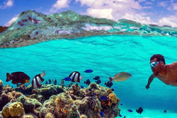 Small group snorkeling (5 people max): wrecks & tropical fishes at 10:30am - Final Thoughts