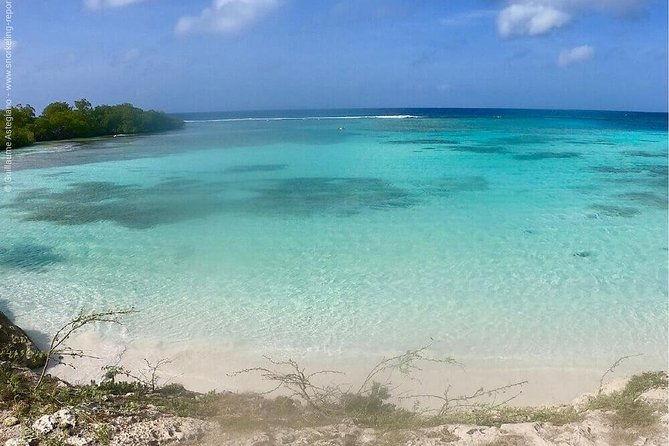 small-group-snorkeling-at-mangel-halto-aruba