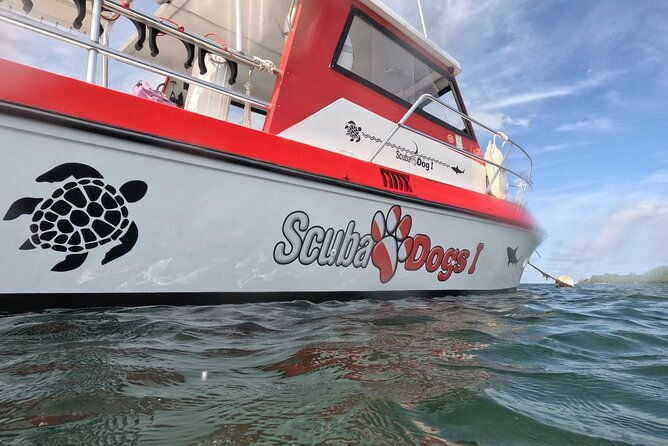 small-group-snorkeling-boat-trip-in-guanica-puerto-rico