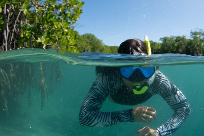 small-group-snorkeling-boat-trip-in-guanica-puerto-rico