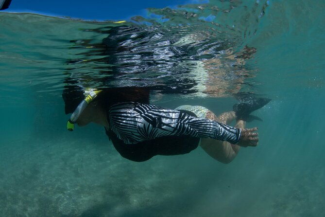 small-group-snorkeling-boat-trip-in-guanica-puerto-rico
