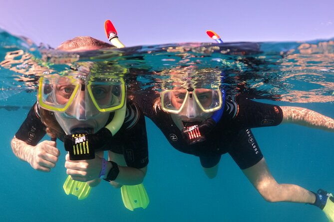 small-group-snorkeling-in-abades-bay-with-licensed-guide