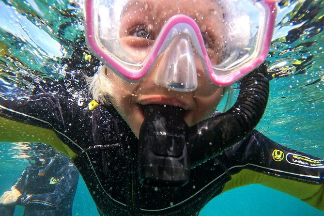 small-group-snorkeling-in-abades-bay-with-licensed-guide