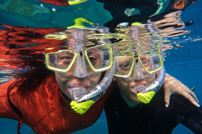 small-group-snorkeling-in-abades-bay-with-licensed-guide