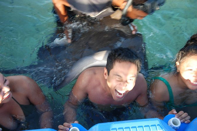 small-group-snorkeling-sharks-rays-encounter-at-punta-cana