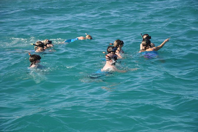 small-group-snorkeling-sharks-rays-encounter-at-punta-cana
