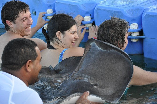 small-group-snorkeling-sharks-stingrays-encounter-by-boat