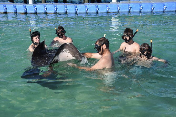 small-group-snorkeling-sharks-stingrays-encounter-by-boat
