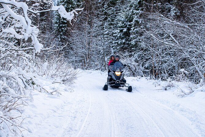 Small-Group Snowmobile Experience in Rovaniemi - The Sum Up: Why This Tour Is Worth It
