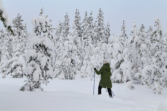 small-group-snowshoeing-adventure-in-lapland