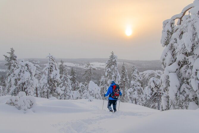 small-group-snowshoeing-adventure-in-lapland