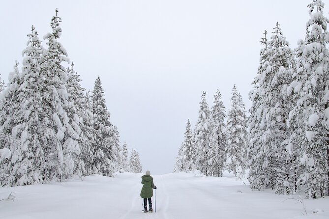 small-group-snowshoeing-adventure-in-lapland